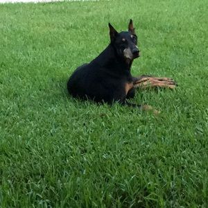 Meet your Posher, Tracie